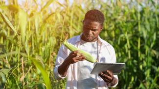 iStockphoto/LENblR African research matters very much.