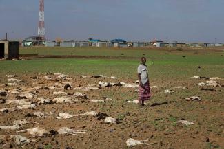 picture alliance / EPA / Daniel Irungu A pastoralist stands among goats and sheep that presumably died of exposure to extreme weather in Kenya, 2022.